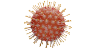 COVID-19 depicted as a red sphere with short tentacles spread evenly on its surface.